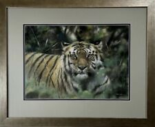 Original painting bengal for sale  BOURNEMOUTH