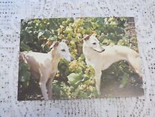 Postcard dog puppy for sale  BODMIN