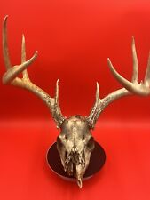deer 3 antlers sets for sale  Bainbridge