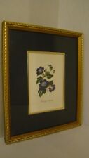 Beautifully framed botanical for sale  Yuma