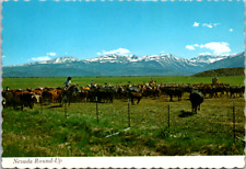 Nevada pasture cowboy for sale  Portland
