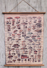 Large mushroom linen for sale  Hampstead