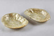 Capiz oyster shell for sale  Bethpage