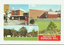 Burgess hill. cricket for sale  MINEHEAD