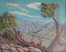 Pintura vintage del Gran Cañón pino paisaje desierto de Arizona - Wadsworth, usado segunda mano  Embacar hacia Argentina