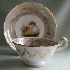 Ridgway tea cup for sale  WORKSOP