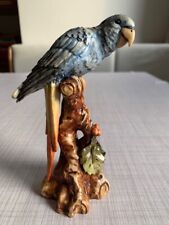 Ceramica capodimonte pappagall usato  Trento
