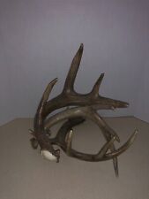 Resin deer antler for sale  Jackson