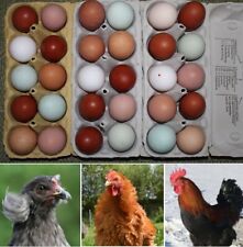 Poultry & Waterfowl for sale  Shipping to Ireland