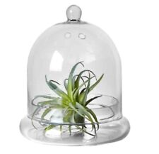 Clear glass dome for sale  Atlantic Beach