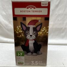 Boston terrier airblown for sale  Corona