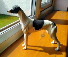 North light greyhound for sale  GREAT YARMOUTH