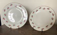 Vintage bristol china for sale  DEVIZES