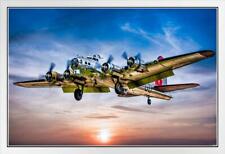 B17g yankee lady for sale  Mount Vernon