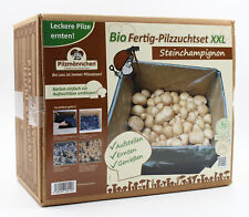 Xxl bio steinchampignon gebraucht kaufen  Großdubrau