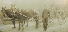 Antique rppc horse for sale  Somerset