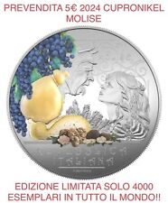 Moneta euro molise usato  Torino