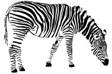 Repair service zebra for sale  BRISTOL
