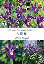 Iris blue magic for sale  UK