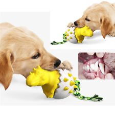 New puppy chew for sale  HATFIELD