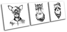 Hipster toy terrier for sale  UK