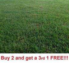 Zenith zoysia grass for sale  Linwood