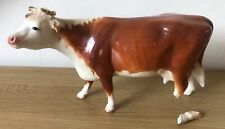 hereford cow for sale  CHESTERFIELD