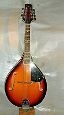 Martin smith mandolin for sale  BANCHORY