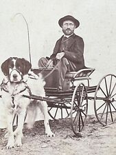 dog cart for sale  Fortville