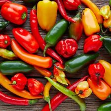 Mixed chilli pepper for sale  LANARK