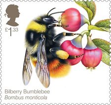 Francobollo bilberry bumblebee usato  Spedire a Italy