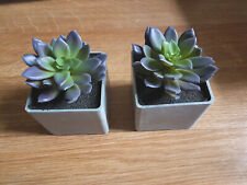Used,  2 x mini Succulents in grey pots - Artificial plant decor iia for sale  LONDON
