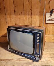 Vintage crt televisore usato  Perugia