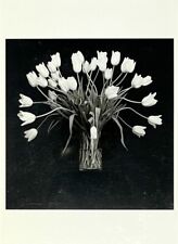 Robert mapplethorpe tulips for sale  Forest Hills