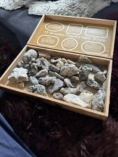Vintage Job Lot Geological Specimens Rocks Crystals Fossil for sale  Shipping to South Africa