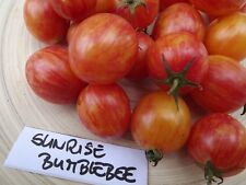 Używany, Pomidor Sunrise Bumblebee - 10+ nasion - chrupiący i słodko aromatyczny! P 066 na sprzedaż  Wysyłka do Poland