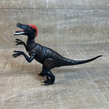 Amazing detail velociraptor for sale  Greenwood