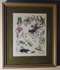 Marjorie blamey wildlife for sale  IPSWICH