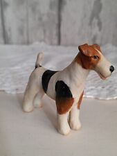 Tiny fox terrier for sale  ABERTILLERY