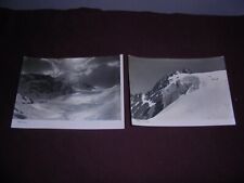 Cartoline paesaggi alpini usato  Torino