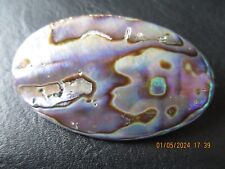 Abalone oval brooch for sale  CARMARTHEN
