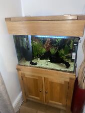 Complete aquarium fish for sale  WITNEY