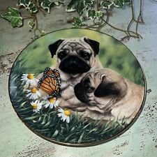 Pug eyed collectible for sale  Harrisburg