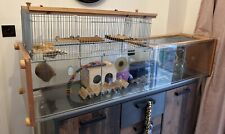 glass gerbil cages for sale  HERNE BAY