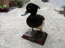 Vintage taxidermie duck d'occasion  Lille-