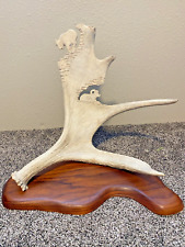 Moose antler carving for sale  Grants Pass