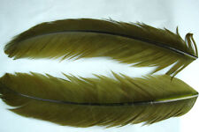 Quill dinde olive d'occasion  Clermont-Ferrand-