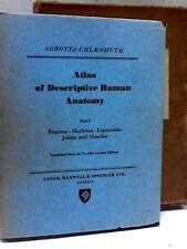 Atlas of Descriptive Human Anatomy, Vol. I (J. Sobotta - 1954) (ID:31803) comprar usado  Enviando para Brazil