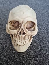 Resin skull ornament for sale  LEEDS