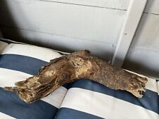 Large driftwood branch for sale  BRAINTREE